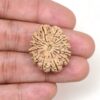 12-Mukhi-Rudraksha-Nepal-Premium-11-Hand