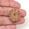 12-Mukhi-Rudraksha-Nepal-Premium-2-Hand