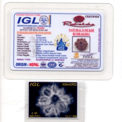 8-Mukhi-Rudraksha-Nepal-Premium-1-Certificate