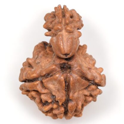 1-Mukhi-Sawar-Rudraksha-Nepal-20