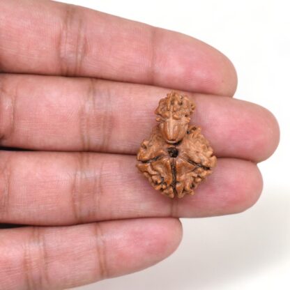 1-Mukhi-Sawar-Rudraksha-Nepal-20-Hand