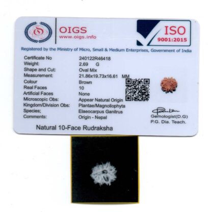 10-Mukhi-Rudraksha-Nepal-10-Certificate
