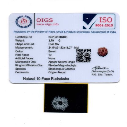 10-Mukhi-Rudraksha-Nepal-24-Certificate