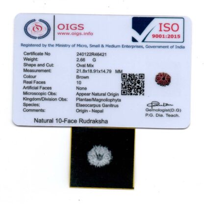 10-Mukhi-Rudraksha-Nepal-8-Certificate