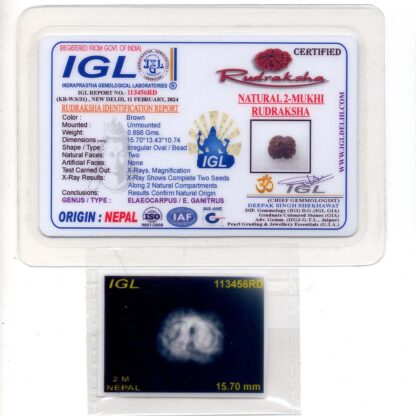 2-Mukhi-Rudraksha-Nepal-17-Certificate