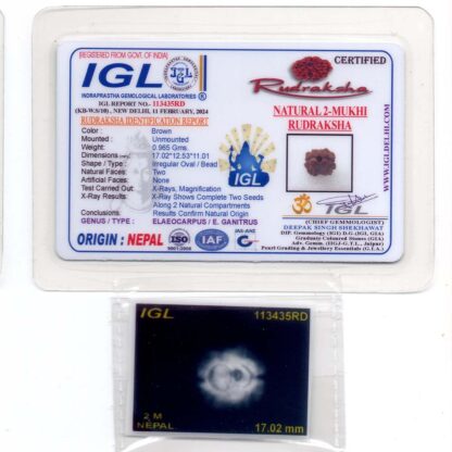 2-Mukhi-Rudraksha-Nepal-20-Certificate