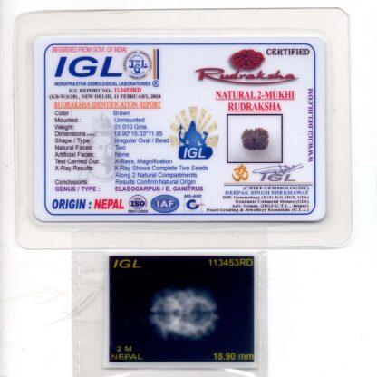 2-Mukhi-Rudraksha-Nepal-23-Certificate