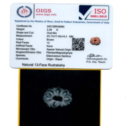 13-Mukhi-Rudraksha-Nepal-10-Certificate