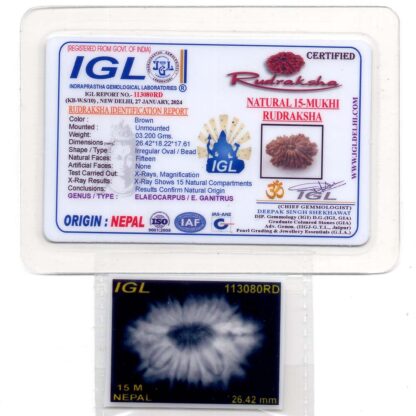 15-Mukhi-Rudraksha-Nepal-14-Certiicate