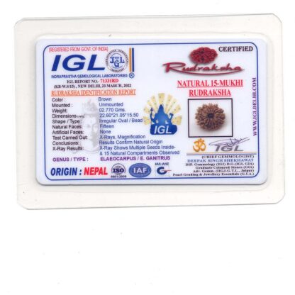 15-Mukhi-Rudraksha-Nepal-8-Certificate