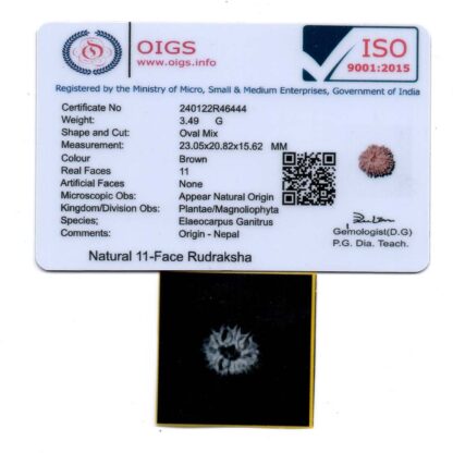 11-Mukhi-Rudraksha-Nepal-29-Certificate