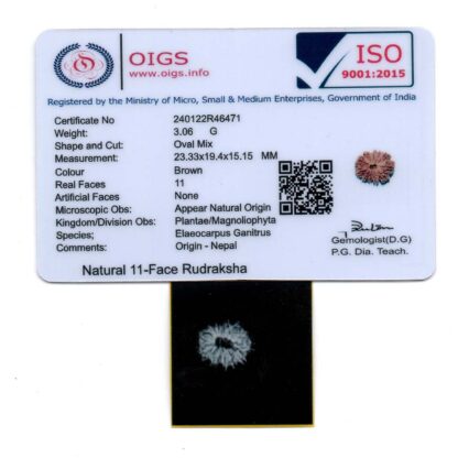 11-Mukhi-Rudraksha-Nepal-31-Certificate