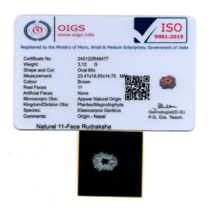 11-Mukhi-Rudraksha-Nepal-35-Certificate