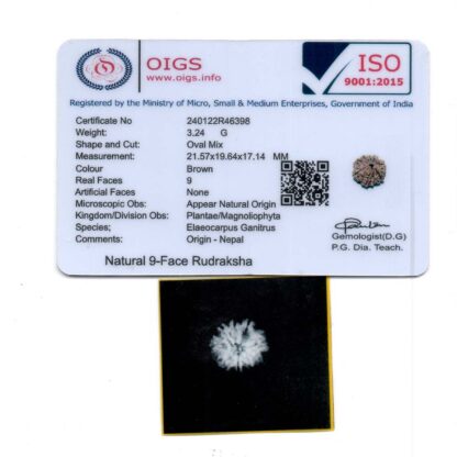 9-Mukhi-Rudraksha-Nepal-25-Certificate