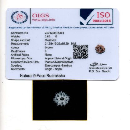 9-Mukhi-Rudraksha-Nepal-26-Certificate