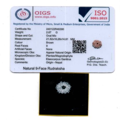 9-Mukhi-Rudraksha-Nepal-27-Certificate