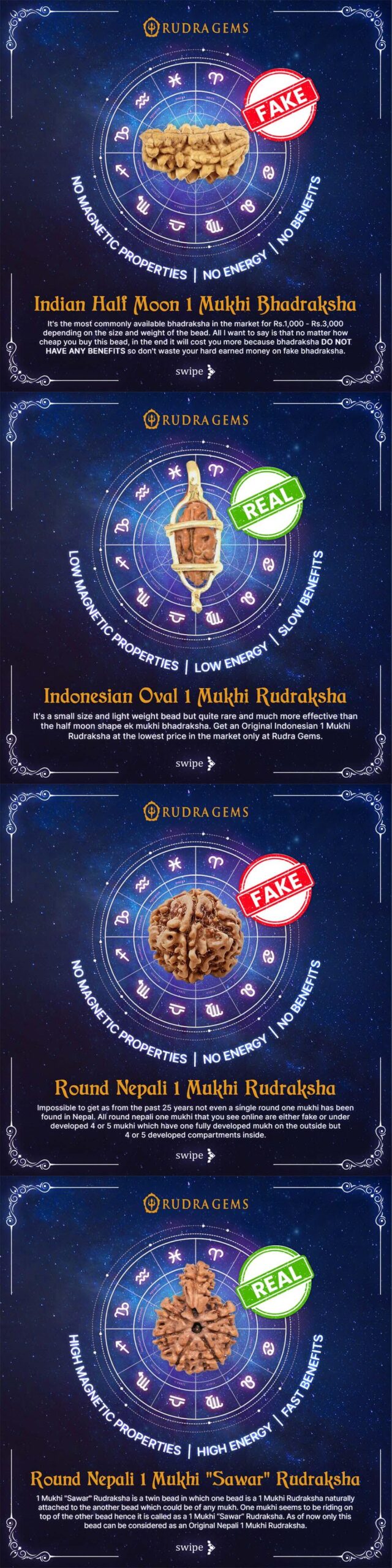1 Mukhi Rudraksha Types