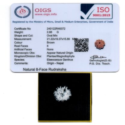 8-Mukhi-Rudraksha-Nepal-32-Certificate
