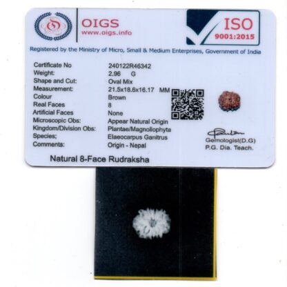8-Mukhi-Rudraksha-Nepal-34-Certificate