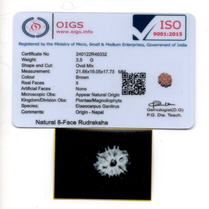 8-Mukhi-Rudraksha-Nepal-37-Certificate