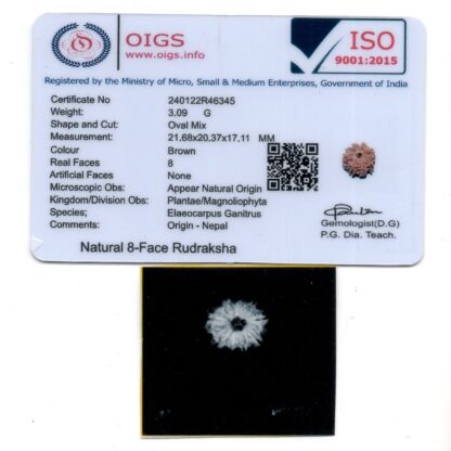 8-Mukhi-Rudraksha-Nepal-38-Certificate
