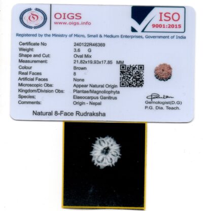 8-Mukhi-Rudraksha-Nepal-39-Certificate