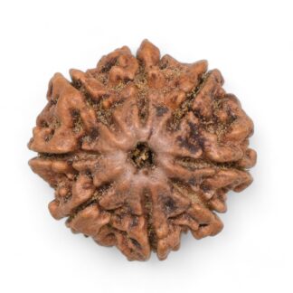 Ganesha-Rudraksha-Nepal-3