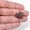 Garbh-Gauri-Rudraksha-Nepal-1-Hand