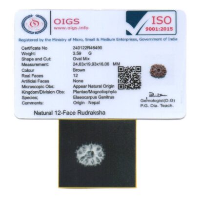 12-Mukhi-Rudraksha-Nepal-23-Certificate