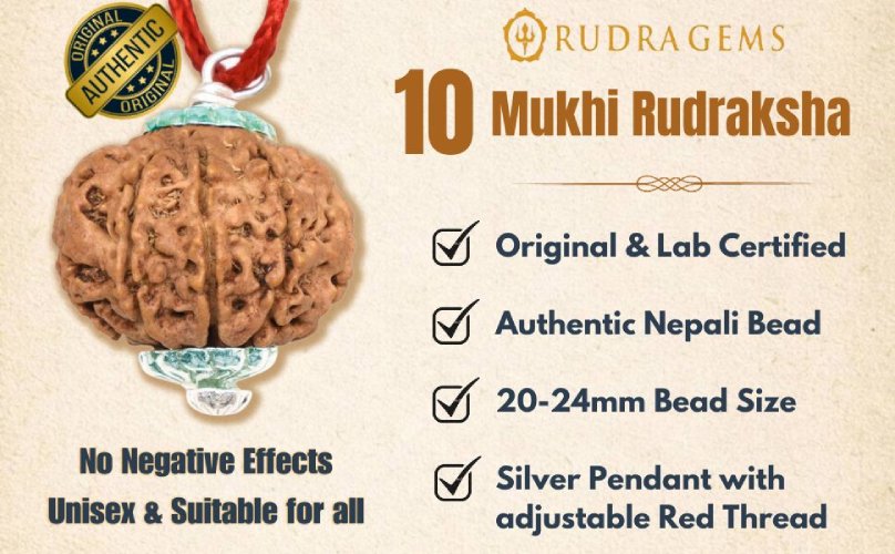 10 Mukhi Rudraksha