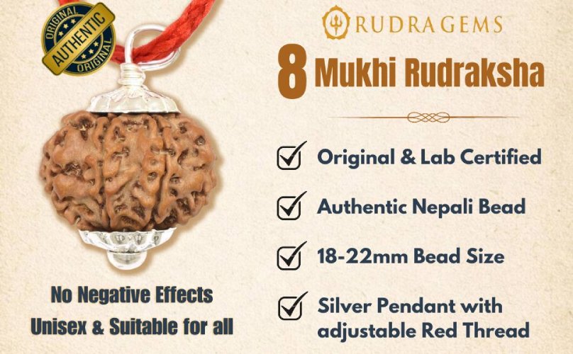 8 Mukhi Rudraksha