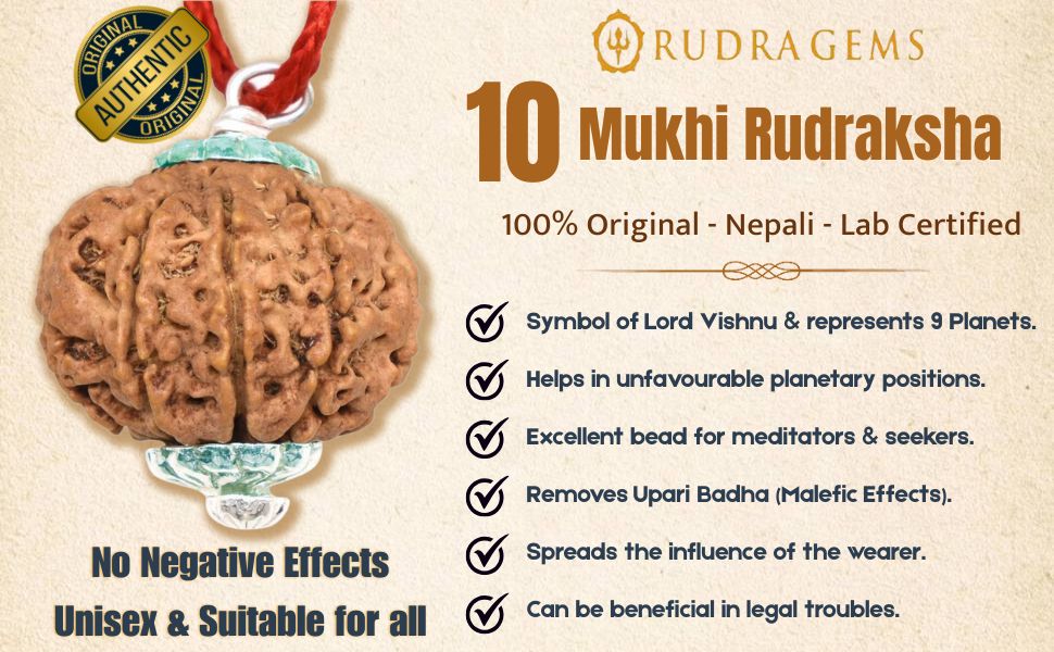 10 Mukhi Rudraksha Benefits