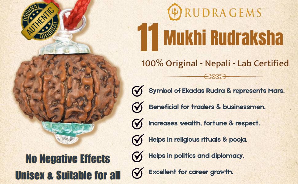 11 Mukhi Rudraksha Benefits