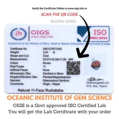 11 Mukhi Rudraksha Lab Certificate