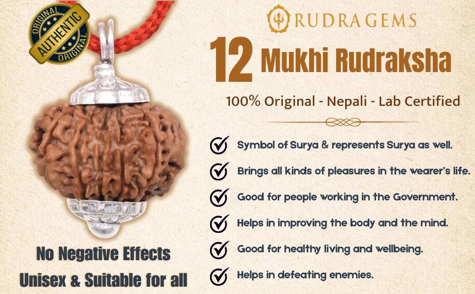 12 Mukhi Rudraksha Benefits