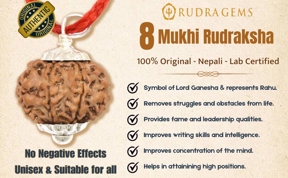 8 Mukhi Rudraksha Benefits