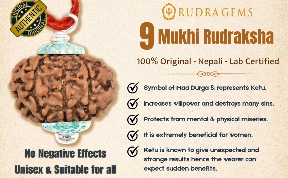 9 Mukhi Rudraksha Benefits