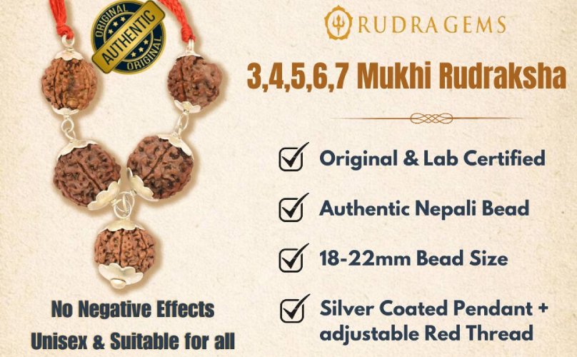 3-7 Mukhi Rudraksha